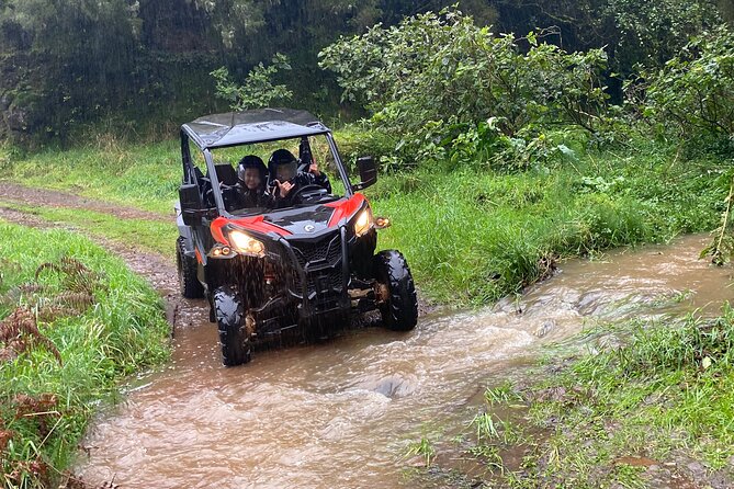 Private Off-road Buggy Driving Experience Review - Health and Accessibility Considerations