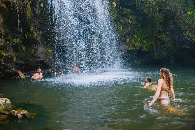 Private Ohana Kohala Waterfalls Adventure - Experience the Ohana Difference
