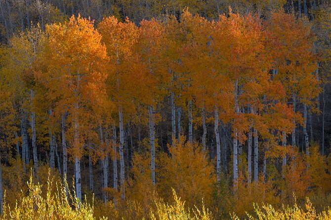 Private Photo Workshop and Sightseeing in Wasatch Mountains - Dining Options