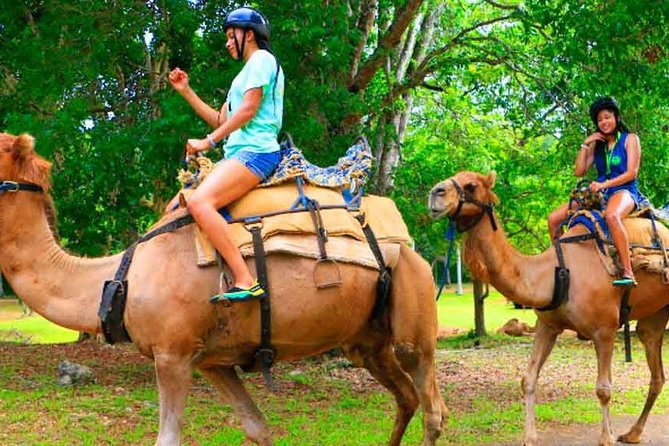 Private Round Trip Transfer to YAAMAN Adventure Park Ocho Rios - Frequently Asked Questions