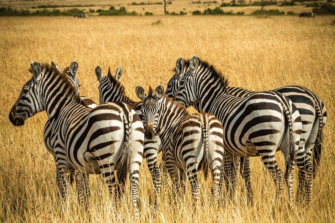 Private Safari for Couples | 5 Day - Customer Reviews and Feedback