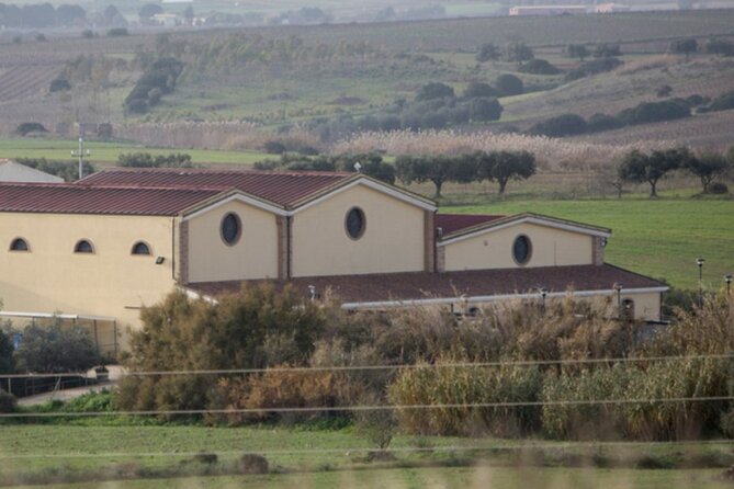 Private Sardinian Wine Experience - Highlights From Travelers Reviews