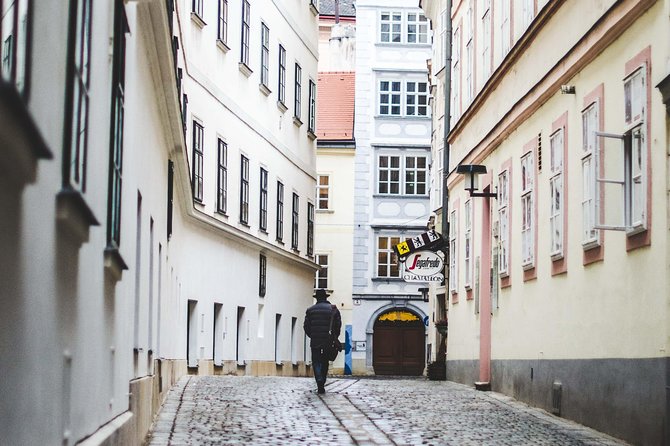Private Scenic Transfer From Salzburg to Vienna With 4h of Sightseeing - Tips for an Enjoyable Journey