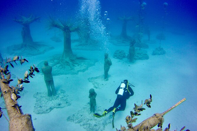 Private Scuba Dive / Try Dive at Musan Underwater Park - Customer Feedback and Ratings