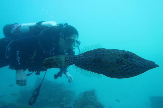 Private Scuba Diving Expert-Led Excursion Training With Tour - Cancellation Policy