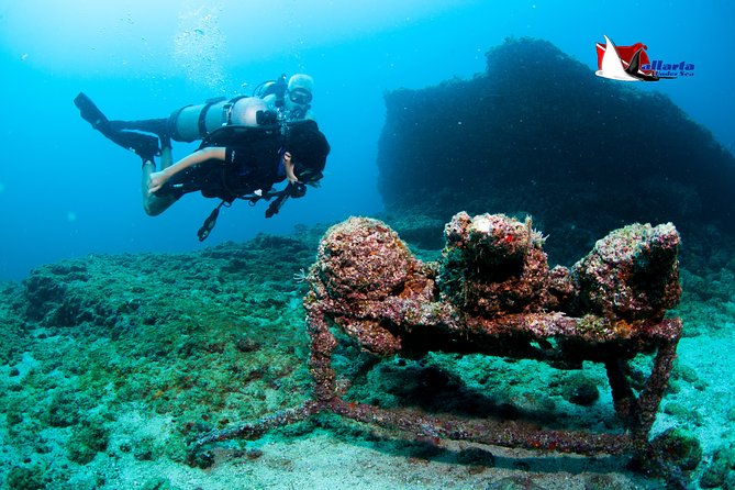 Private Scuba Diving Puerto Vallarta Undersea - Memorable Encounters