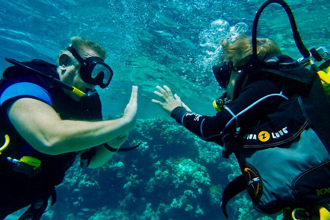 Private Scuba Diving Tour With Transportation and Guide - Exploring the Underwater World of Eilat