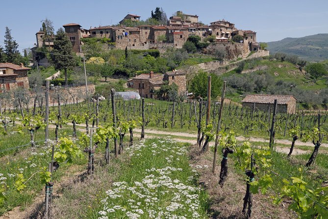 Private Siena to Florence Chianti and San Gimignano Transfer Tour - Historic San Gimignano Visit