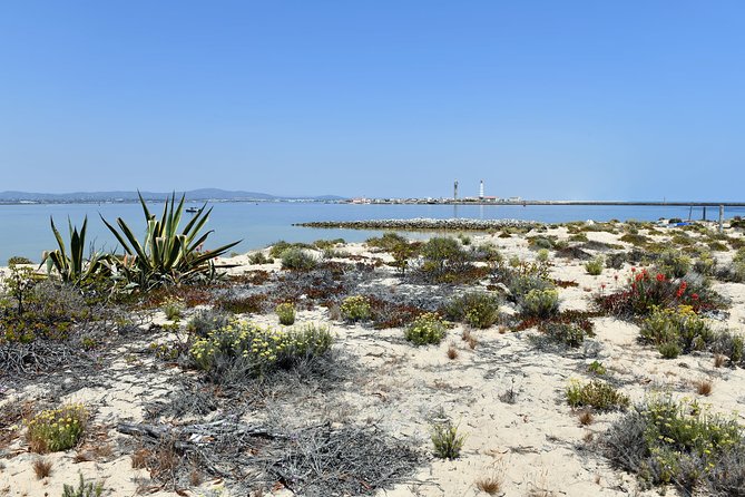 Private Sightseeing Boat Tour in Ria Formosa at Olhão - Departure Options