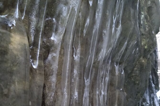 Private Singhampton Caves Snowshoe, Collingwood/Blue Mountain - Directions and Route