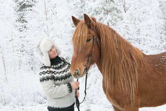 Private Sleigh Ride With Finnhorse Review - Since You Asked