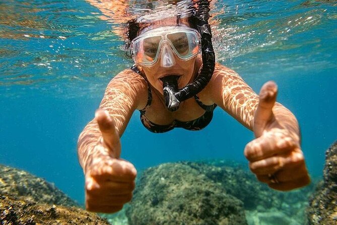 Private Speedboat to Abu Munkar Island and Snorkeling - Hurghada - Customer Reviews