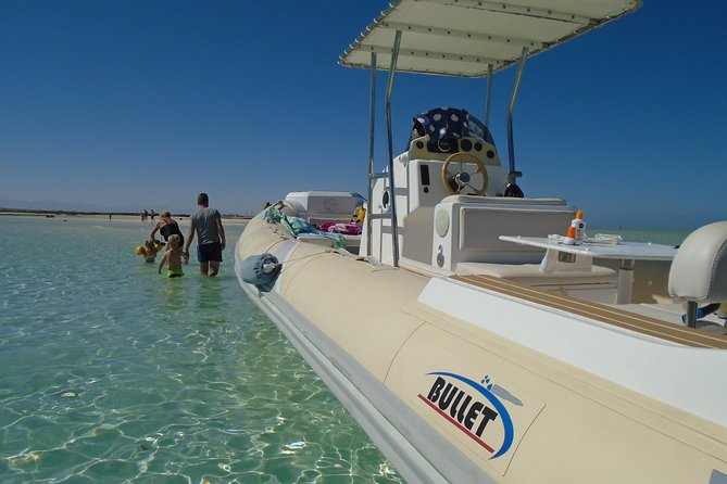 Private Speedboat Trip In Hurghada - Safety Measures and Equipment