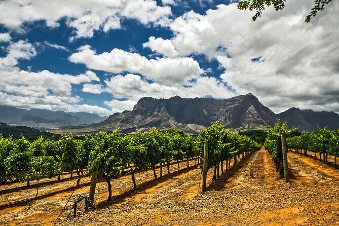 Private Table Mountain Penguins & Cape Point Tour From Cape Town - Booking Information