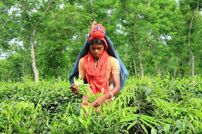 Private Tour: 5 Days - Bangladesh Nature & Culture Tour - North-Eastern Part - Booking and Cancellation Policy