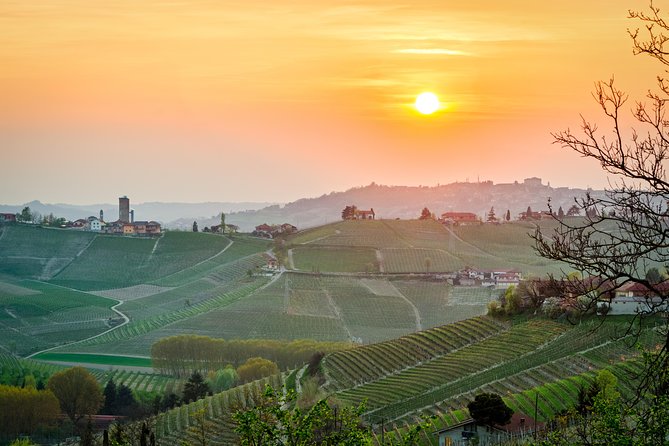 Private Tour: Barolo Wine Tasting in Langhe Area From Torino - Traveler Reviews and Ratings