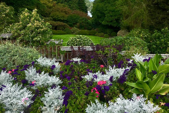 Private Tour Countryside Roads to Butchart Gardens & City - 5 Hrs - Discovering Countryside Roads