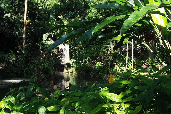 Private Tour From Ocho Rios To Konoko Falls And Garden and Shopping - Customizing the Itinerary