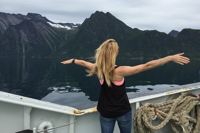 Private Tour Geiranger and Glaciers 1 to 15 People - Itinerary Overview