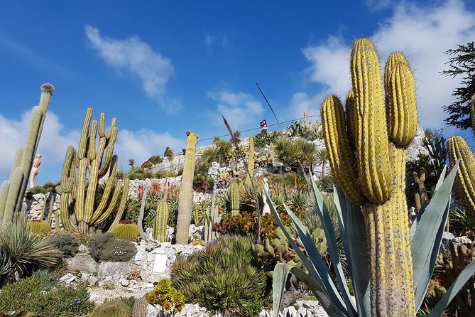 Private Tour of Nice, Monaco & Eze With a Local Guide - Educational Experiences
