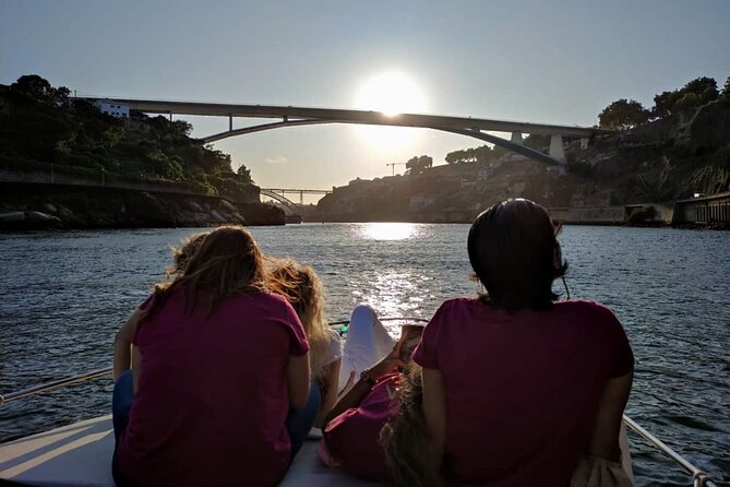 Private Tour of the Bridges and Douro River 2h, Group Price up to 6px - Accessibility and Accommodations