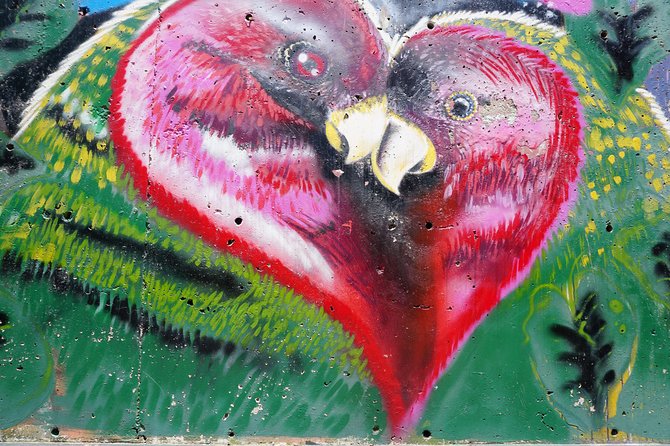 Private Tour: Street Art in Medellín - Urban Art & Cultural Identity - The Vibrant Street Art Scene