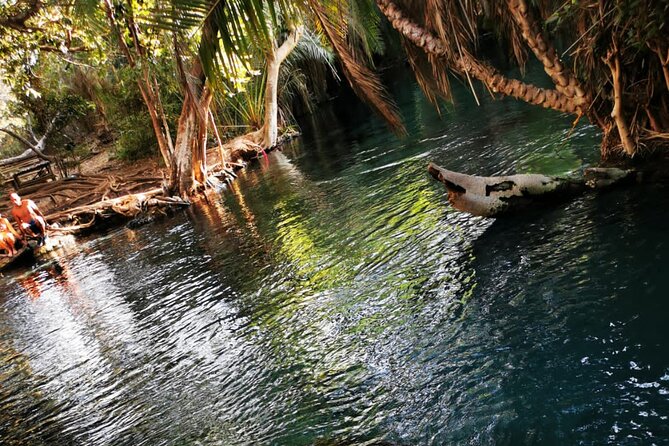Private Tour to Materuni Waterfalls, Coffee Tour & Kikuletwa Hot- Springs - Tour Considerations