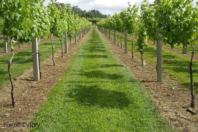 Private Tour to Ponte De Lima, Vinho Verde Region - Optional Extras