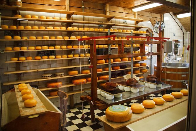 Private Tour to the Windmills, Cheese and Clogs, Volendam, Marken From Amsterdam - Preparing for the Tour