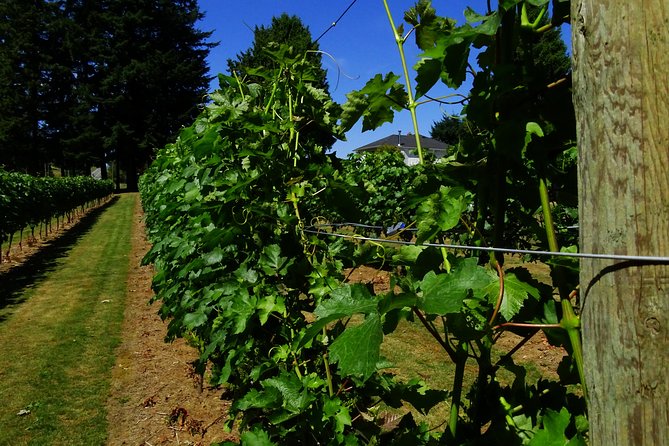 Private Tour: Vancouver Half Day Wine Tasting Tour - Unique Local Products
