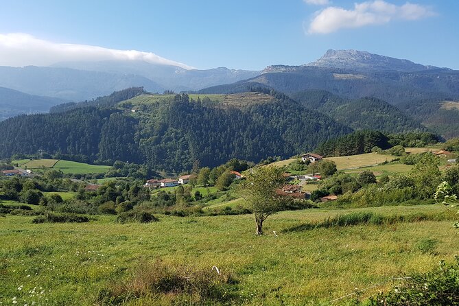 Private Tour Visiting Villages, Forests and Valleys in Biscay - Nature and History Focus