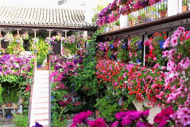 Private Tourist Route in Córdoba - Traveler Ratings and Feedback