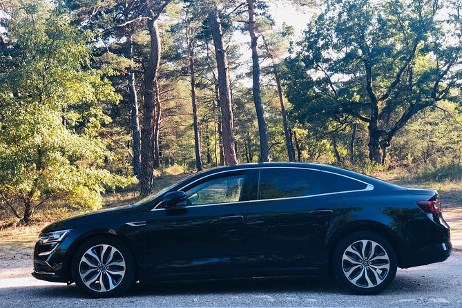 Private Transfer by Car: Marseille Airport From or to Avignon - Transfer Convenience