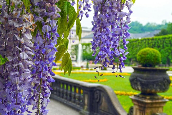 Private Transfer From Munich to Salzburg, English-Speaking Driver - Accessibility Features
