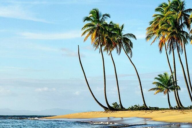 Private Transfer From Punta Cana Airport to Miches - Frequently Asked Questions