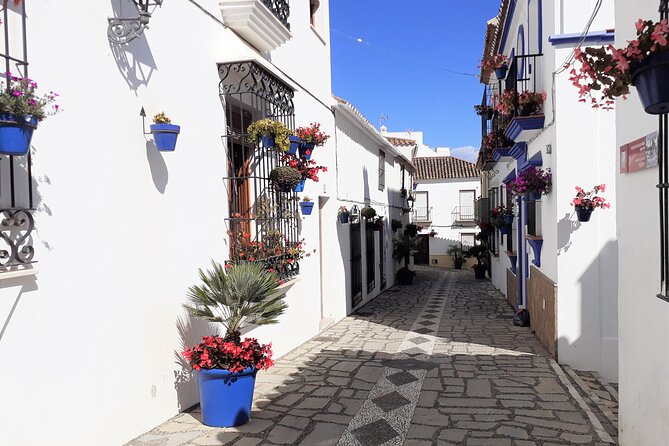 Private Trip in Gibraltar and Estepona From Marbella - Highlights of the Gibraltar and Estepona Tour