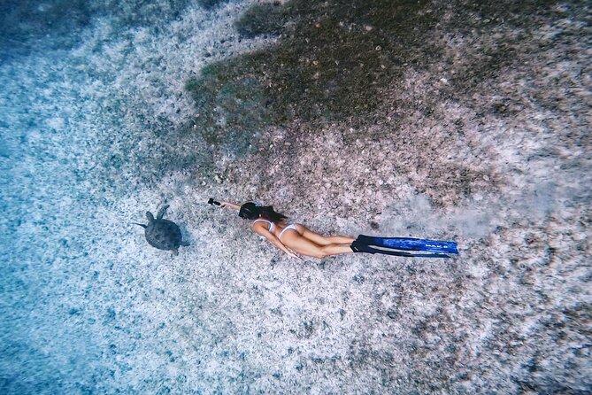 Private Turtle Spotting Snorkeling Excursion in Aruba - Memorable Encounters With Sea Turtles