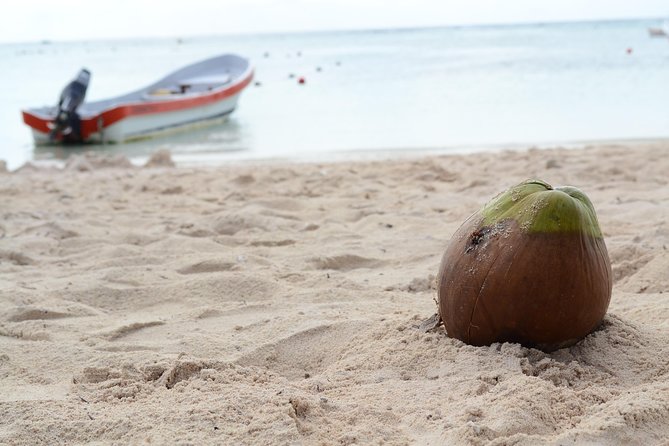 Private Turtles Express - Snorkeling Experience