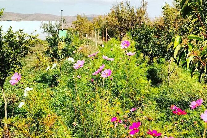 Private Visit to an Aromatic Plant Farm in La Rioja - Frequently Asked Questions