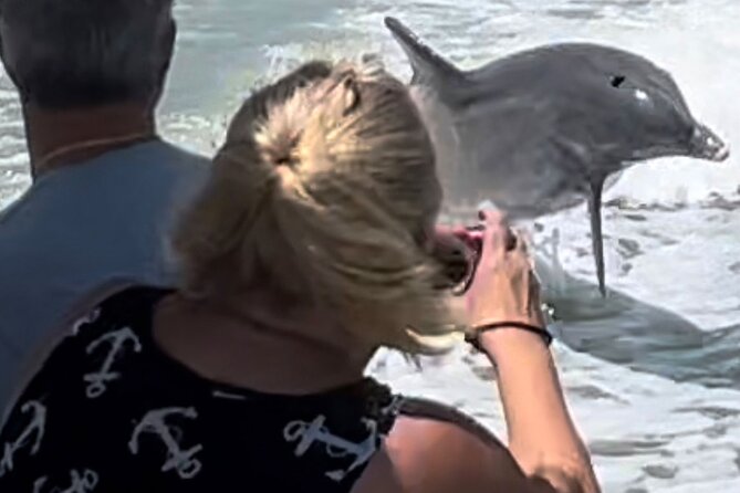 Private Wild Dolphin Boat Tour - Discover Naples Wild Dolphins