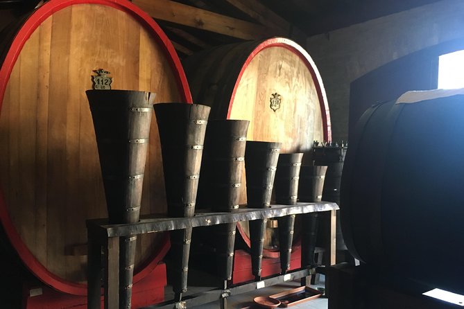 Private Wine, Evo Oils & Balsamic Vinegar Experience With Meal - Insightful Tuscan Culinary Presentation