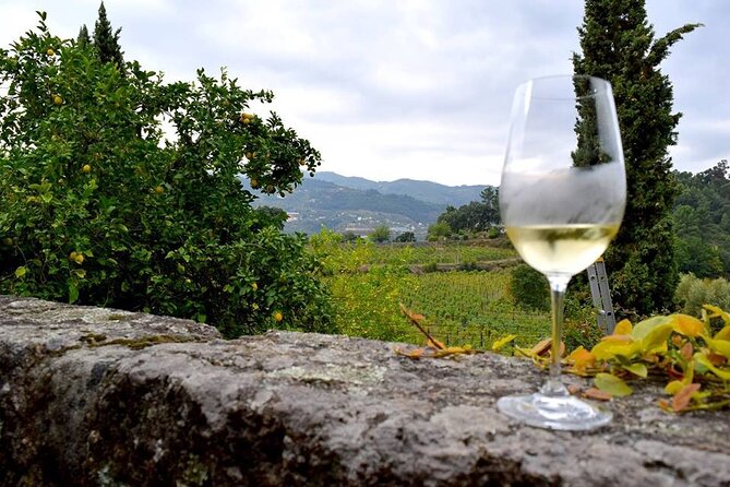 Private Wine Experience in Rota Do Vinho Verde With Lunch - Booking and Cancellation Policy