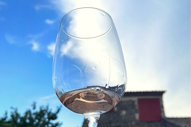 Private Wine Tasting at Home, Gulf of Saint-Tropez - Sum Up