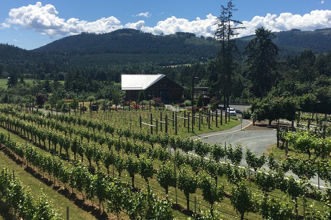 Private Wine Tasting in Beautiful Cowichan Valley - Scenic Drives