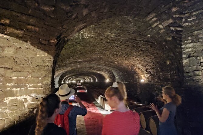 Private Wine Tour in Chianti Classico With Sommelier (2 Wineries) - Pricing and Inclusions