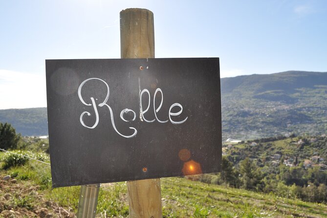 Private Wine Tour of the Vineyards on the French Riviera - Customer Review Highlights