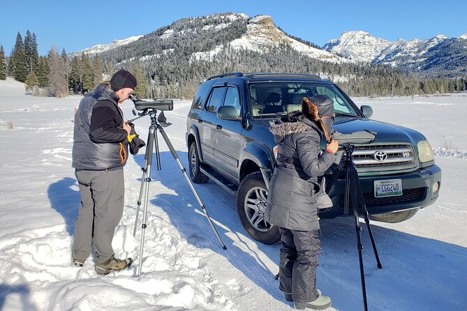 PRIVATE Wolf & Wildlife Watching in Yellowstones Lamar Valley - Additional Tour Information