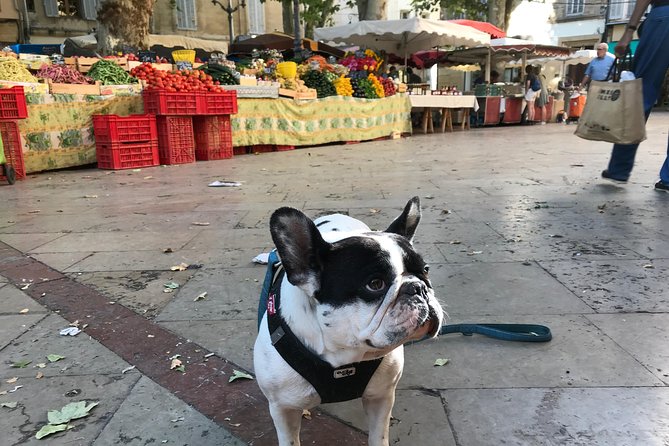 Provençal Farmers Market Tour - Group Size and Booking