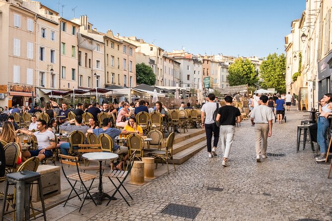 Provence, Vineyards & Lavender Fields Private Day Trip - Flexibility and Hassle-Free Arrangements