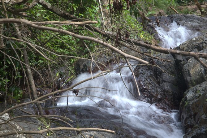 Rainforest Tour in San Juan, Puerto Rico - Packing Essentials